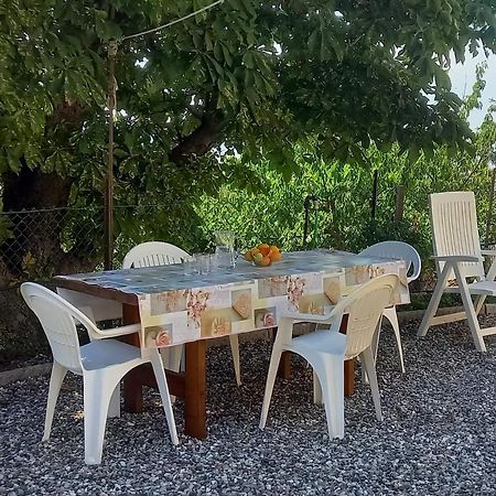Appartamento Bellavista Castellina Marittima Ngoại thất bức ảnh