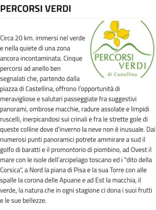 Appartamento Bellavista Castellina Marittima Ngoại thất bức ảnh