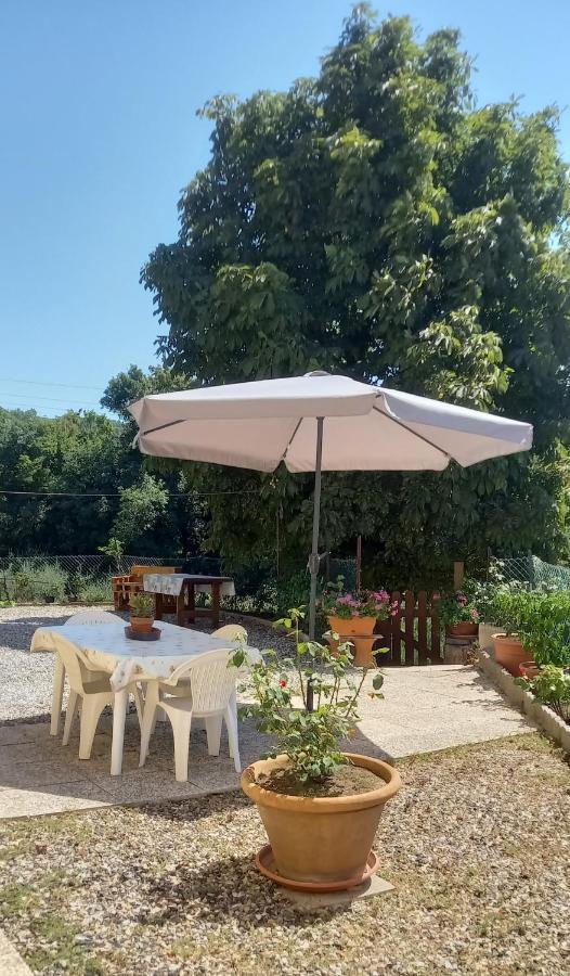 Appartamento Bellavista Castellina Marittima Ngoại thất bức ảnh